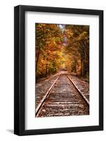 Tracks Into Fall, White Mountains New Hampshire, New England in Autumn-Vincent James-Framed Photographic Print