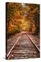 Tracks Into Fall, White Mountains New Hampshire, New England in Autumn-Vincent James-Stretched Canvas