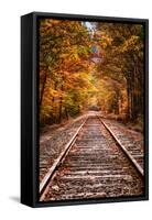 Tracks Into Fall, White Mountains New Hampshire, New England in Autumn-Vincent James-Framed Stretched Canvas