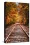 Tracks Into Fall, White Mountains New Hampshire, New England in Autumn-Vincent James-Stretched Canvas