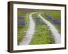 Tracks Leading Through a Wildflower Field, Texas, USA-Julie Eggers-Framed Photographic Print