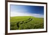 Tracks Leading Through Wheat Field-Terry Eggers-Framed Photographic Print