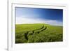 Tracks Leading Through Wheat Field-Terry Eggers-Framed Photographic Print