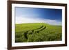 Tracks Leading Through Wheat Field-Terry Eggers-Framed Photographic Print