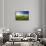 Tracks Leading Through Wheat Field-Terry Eggers-Framed Stretched Canvas displayed on a wall