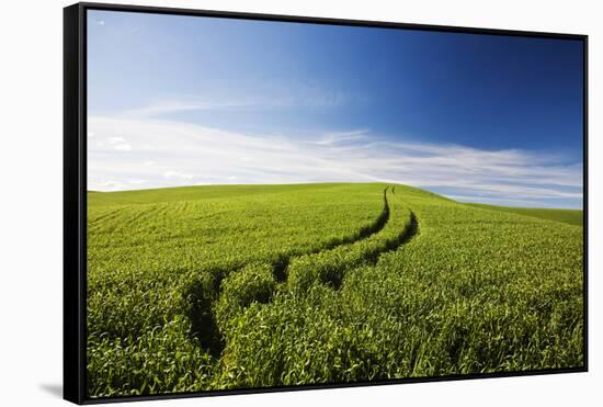 Tracks Leading Through Wheat Field-Terry Eggers-Framed Stretched Canvas