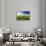 Tracks Leading Through Wheat Field-Terry Eggers-Stretched Canvas displayed on a wall