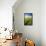 Tracks Leading Through Wheat Field-Terry Eggers-Framed Stretched Canvas displayed on a wall