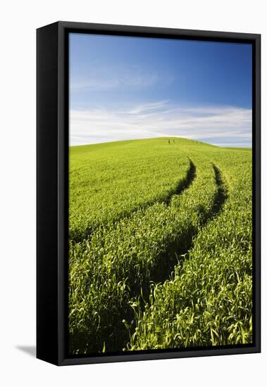 Tracks Leading Through Wheat Field-Terry Eggers-Framed Stretched Canvas