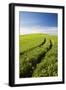 Tracks Leading Through Wheat Field-Terry Eggers-Framed Photographic Print