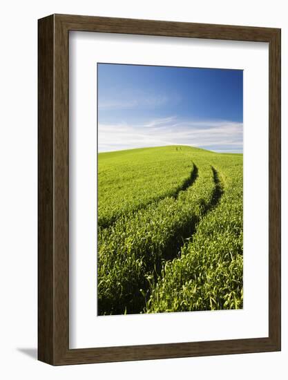 Tracks Leading Through Wheat Field-Terry Eggers-Framed Photographic Print