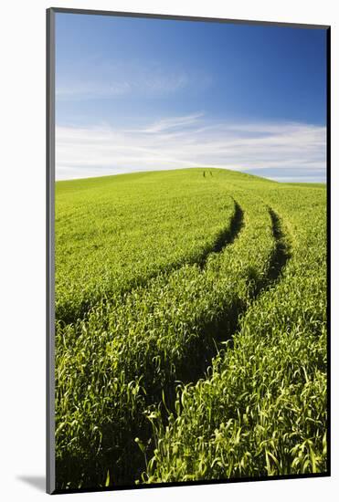 Tracks Leading Through Wheat Field-Terry Eggers-Mounted Photographic Print