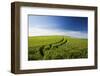 Tracks Leading Through Wheat Field-Terry Eggers-Framed Photographic Print