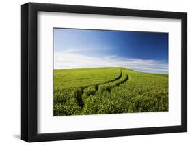 Tracks Leading Through Wheat Field-Terry Eggers-Framed Photographic Print