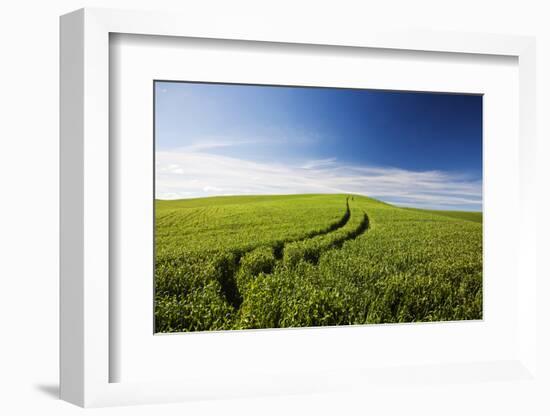 Tracks Leading Through Wheat Field-Terry Eggers-Framed Photographic Print