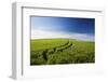 Tracks Leading Through Wheat Field-Terry Eggers-Framed Photographic Print