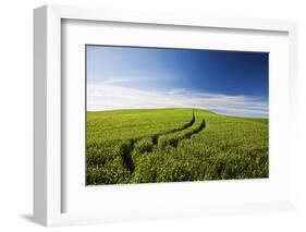 Tracks Leading Through Wheat Field-Terry Eggers-Framed Photographic Print