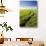 Tracks Leading Through Wheat Field-Terry Eggers-Stretched Canvas displayed on a wall