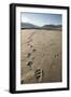 Tracks of a Grizzly Bear Family in the Mud Flats of Alsek Lake in Glacier Bay National Park, Alaska-Justin Bailie-Framed Photographic Print