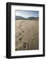 Tracks of a Grizzly Bear Family in the Mud Flats of Alsek Lake in Glacier Bay National Park, Alaska-Justin Bailie-Framed Photographic Print