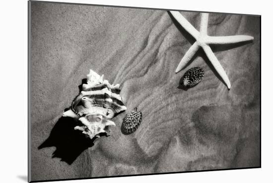 Tracks of the Tide III-Alan Hausenflock-Mounted Photographic Print