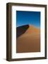 Tracks on A Sand Dune-Circumnavigation-Framed Photographic Print