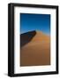 Tracks on A Sand Dune-Circumnavigation-Framed Photographic Print