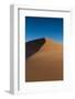 Tracks on A Sand Dune-Circumnavigation-Framed Photographic Print