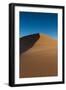 Tracks on A Sand Dune-Circumnavigation-Framed Photographic Print