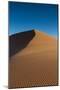 Tracks on A Sand Dune-Circumnavigation-Mounted Photographic Print