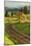 Tracks through Hood River, Oregon-Vincent James-Mounted Photographic Print