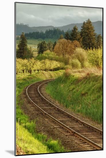 Tracks through Hood River, Oregon-Vincent James-Mounted Photographic Print