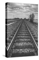 Tracks Through the Central Valley, Sacramento California-Vincent James-Stretched Canvas