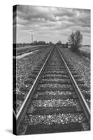 Tracks Through the Central Valley, Sacramento California-Vincent James-Stretched Canvas