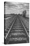 Tracks Through the Central Valley, Sacramento California-Vincent James-Stretched Canvas