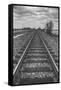 Tracks Through the Central Valley, Sacramento California-Vincent James-Framed Stretched Canvas