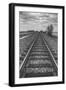 Tracks Through the Central Valley, Sacramento California-Vincent James-Framed Photographic Print
