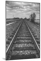 Tracks Through the Central Valley, Sacramento California-Vincent James-Mounted Photographic Print