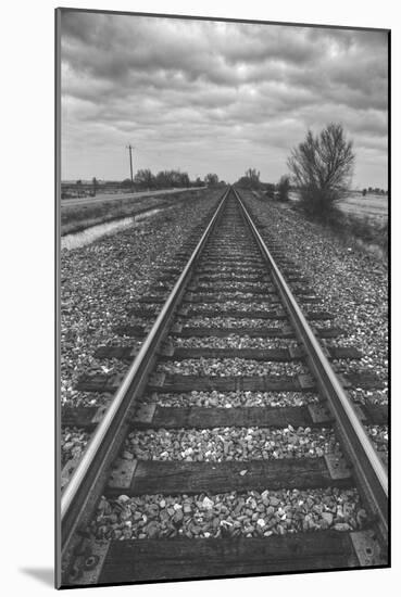 Tracks Through the Central Valley, Sacramento California-Vincent James-Mounted Photographic Print