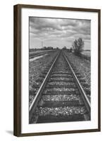 Tracks Through the Central Valley, Sacramento California-Vincent James-Framed Photographic Print