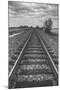 Tracks Through the Central Valley, Sacramento California-Vincent James-Mounted Photographic Print