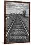 Tracks Through the Central Valley, Sacramento California-Vincent James-Framed Photographic Print