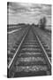 Tracks Through the Central Valley, Sacramento California-Vincent James-Stretched Canvas