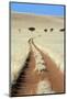 Tracks Tracks of 4 x 4 vehicles cut through bushman grass in the Namib Desert, Namibia-David Hosking-Mounted Photographic Print