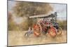 Traction Engine at the Great Eccleston Show, 1998-Peter Miller-Mounted Giclee Print