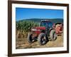 Tractor and Corn Field in Litchfield Hills, Connecticut, USA-Jerry & Marcy Monkman-Framed Photographic Print