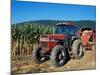 Tractor and Corn Field in Litchfield Hills, Connecticut, USA-Jerry & Marcy Monkman-Mounted Photographic Print