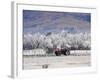 Tractor and Hoar Frost, Sutton, Otago, South Island, New Zealand-David Wall-Framed Photographic Print