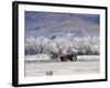 Tractor and Hoar Frost, Sutton, Otago, South Island, New Zealand-David Wall-Framed Photographic Print