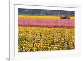 Tractor and Tulips I-Dana Styber-Framed Photographic Print